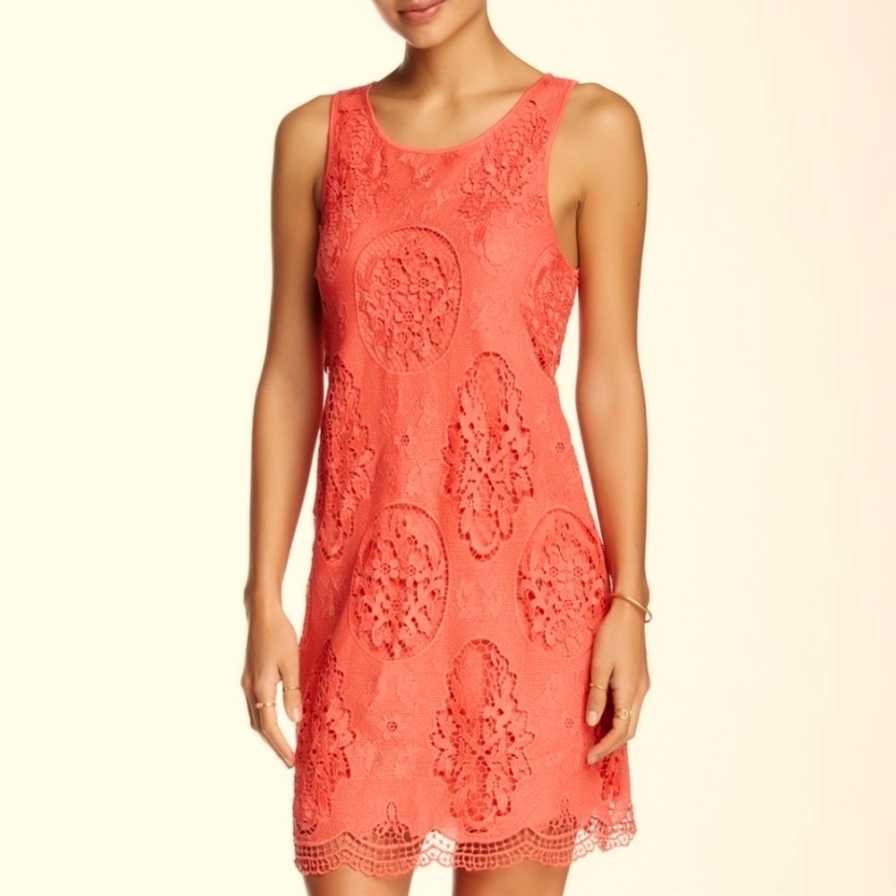 NWT Tart Collection Coral Willow Lace Dress Size Large